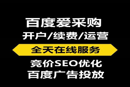 百度竞价代理技巧：经典成功案例解析